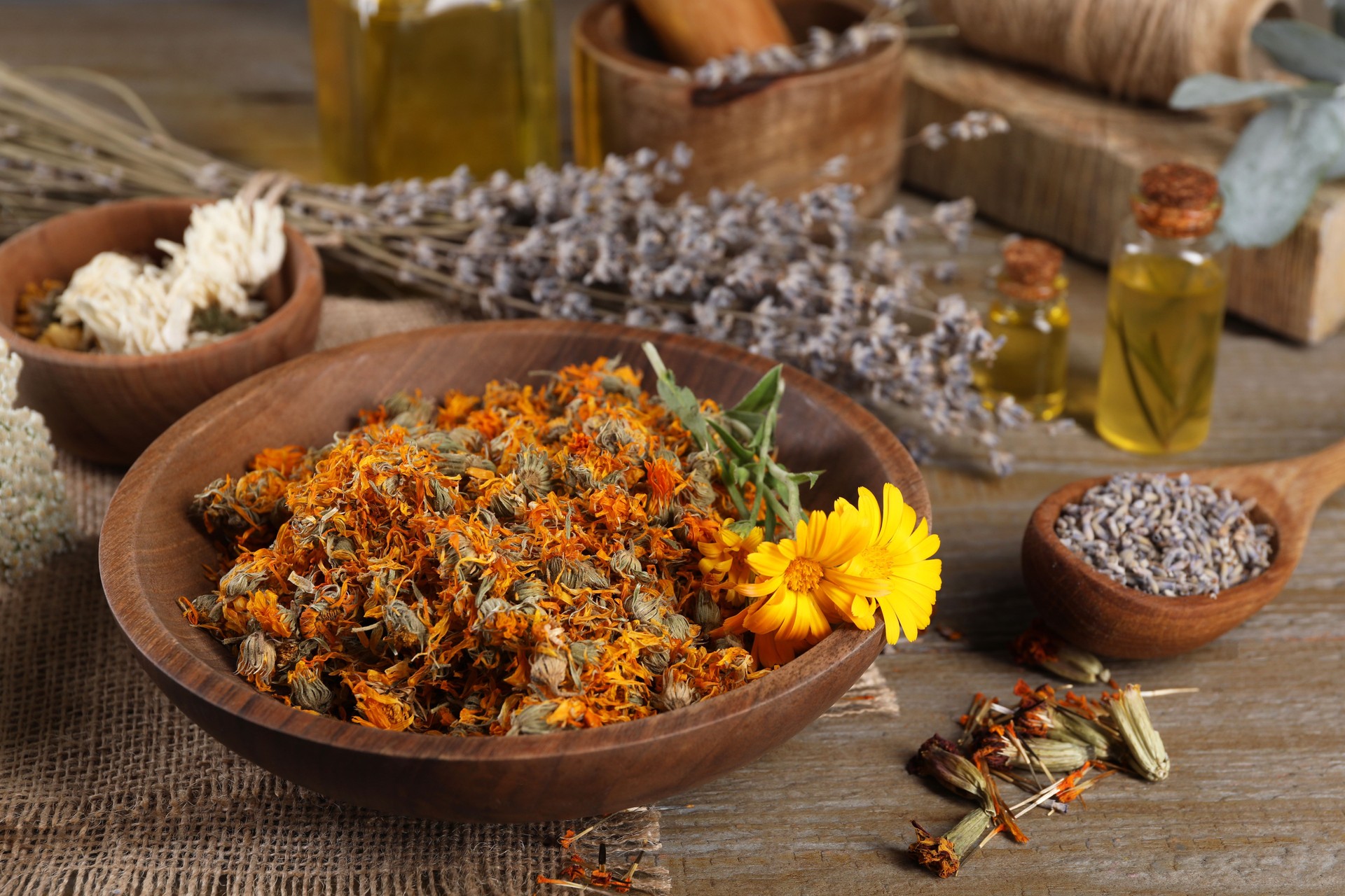 Bowl and many different herbs on wooden table